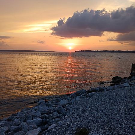 The Gemini-A Dreamy, Waterfront Tiny Cabin Rogersville 외부 사진