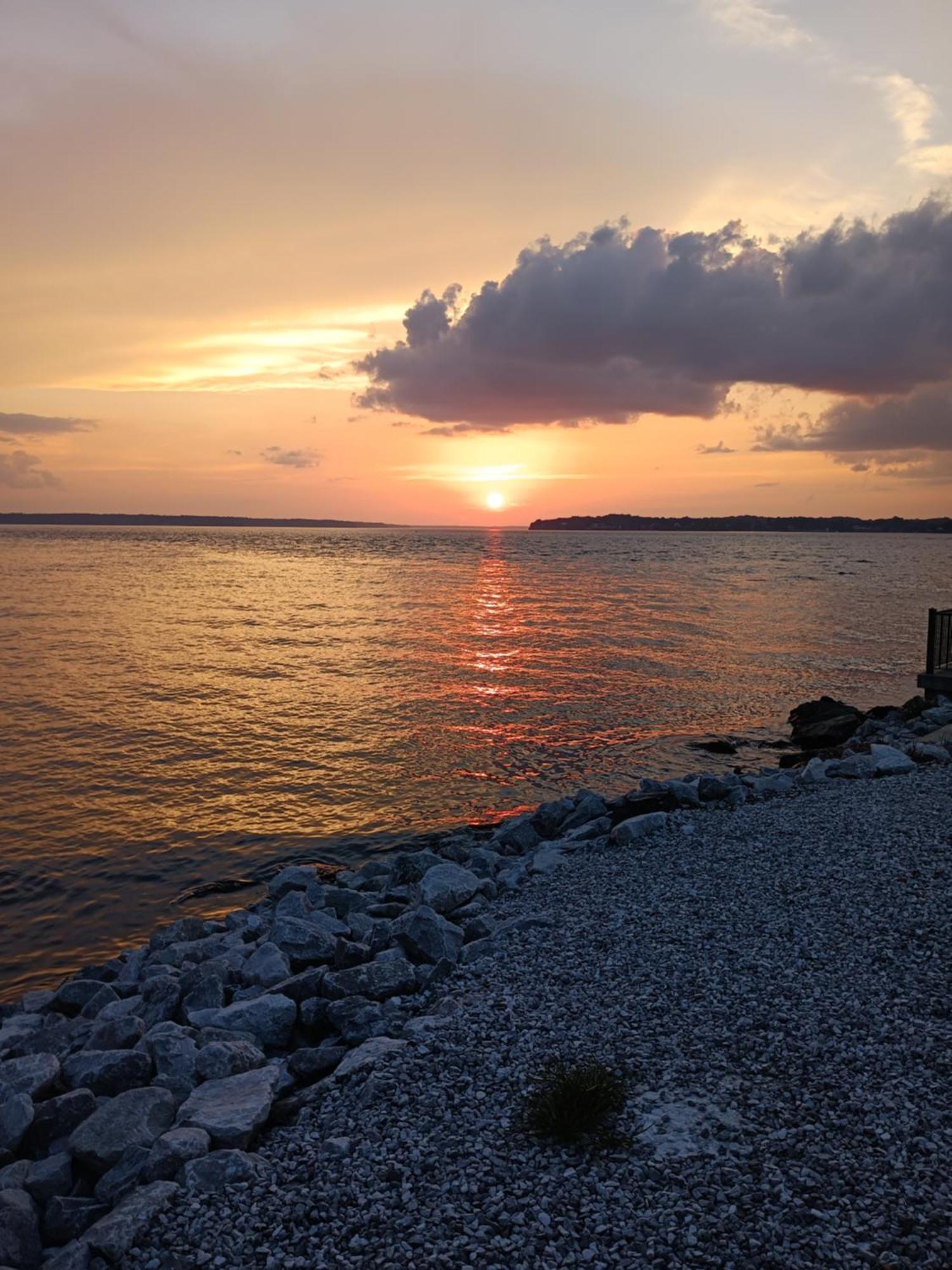 The Gemini-A Dreamy, Waterfront Tiny Cabin Rogersville 외부 사진